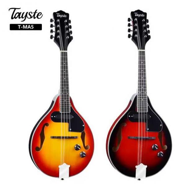Electric Mandolin